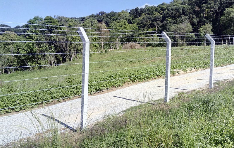 Cerca de Arame Farpado - Imagem 2