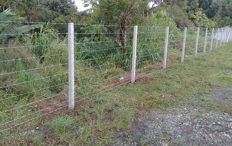 Cerca de Arame Farpado - Imagem 5