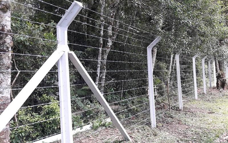 Cerca de Arame Farpado - Imagem 6