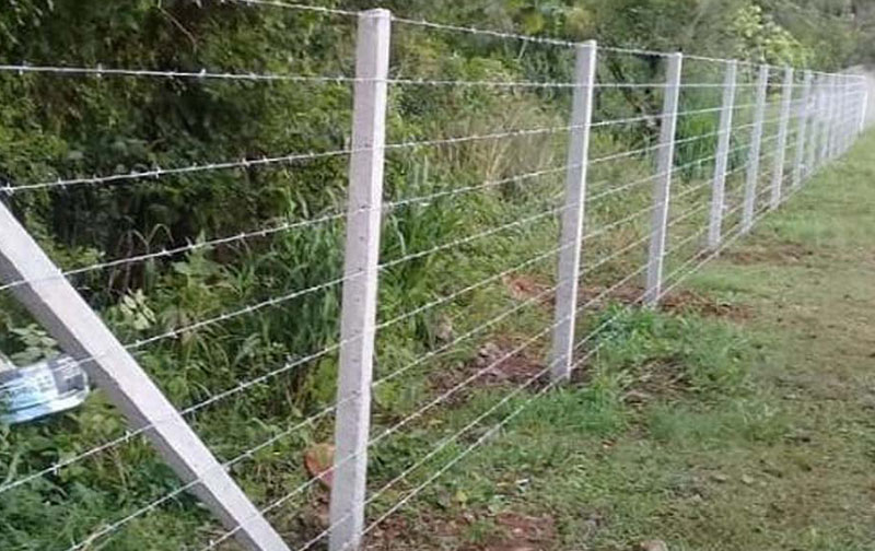 Cerca de Arame Farpado - Imagem 7