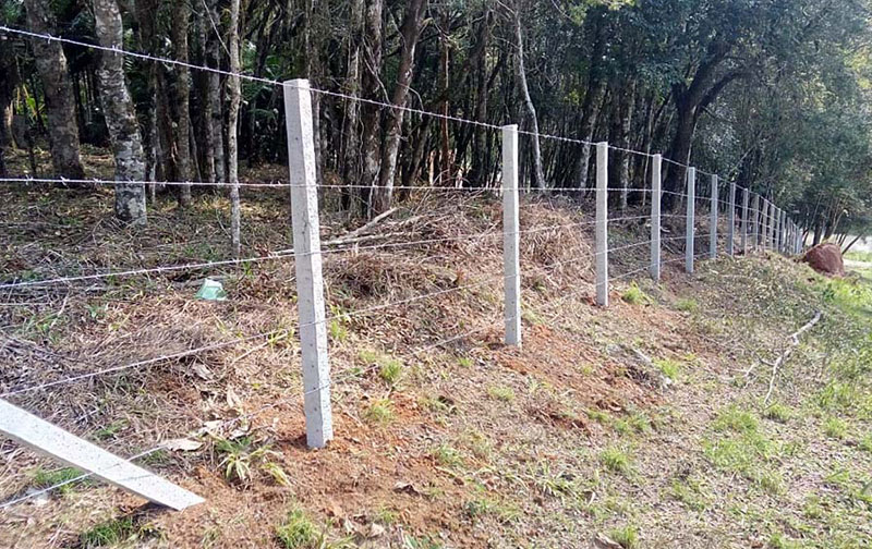 Cerca de Arame Farpado - Imagem 8