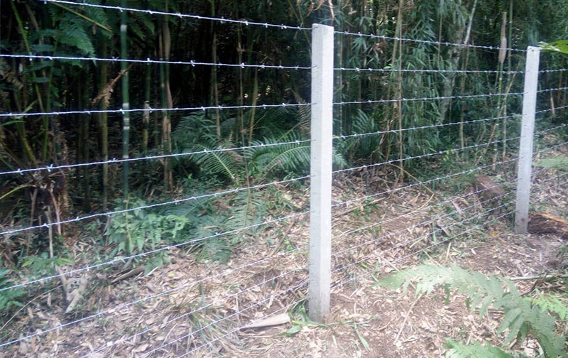 Cerca de Arame Farpado - Imagem 10